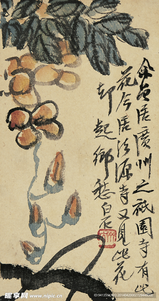 玉兰花
