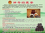 藏茶