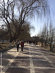 滨河马路