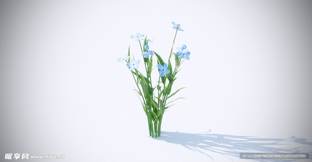 花模型