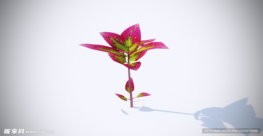 花模型