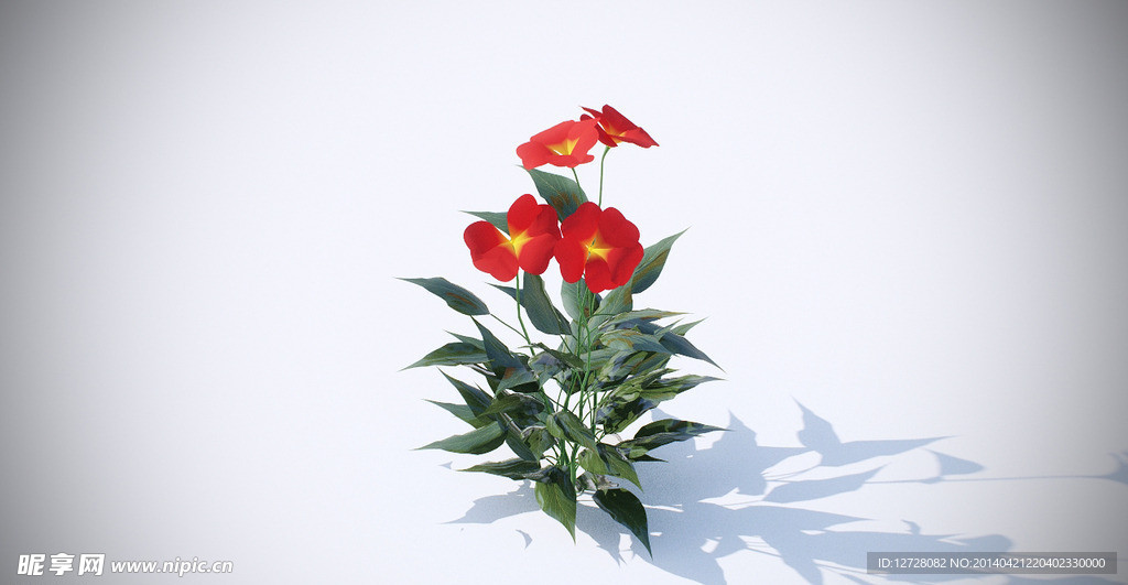 花模型
