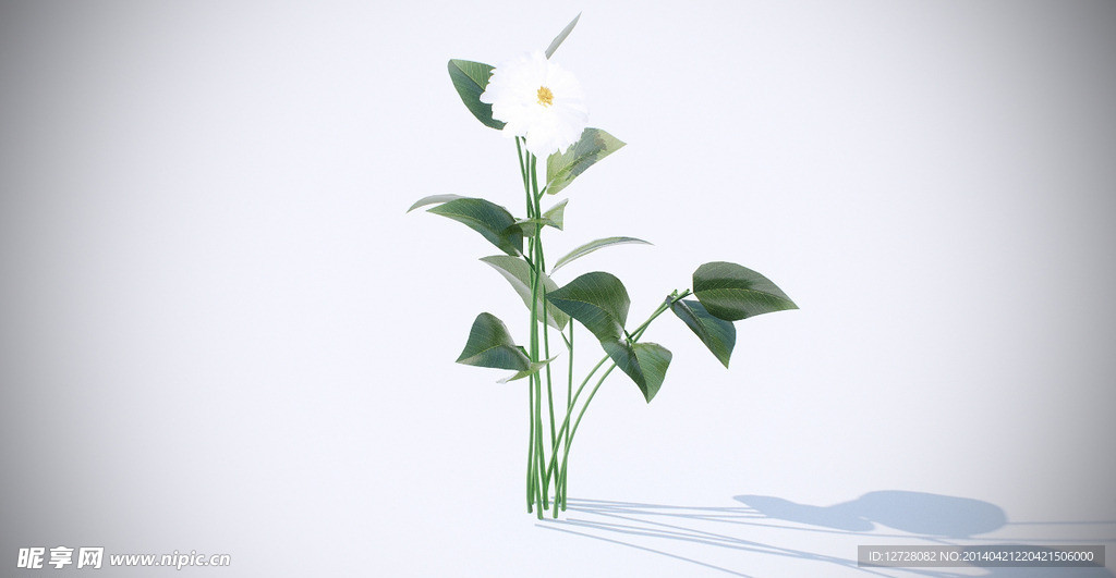 花模型