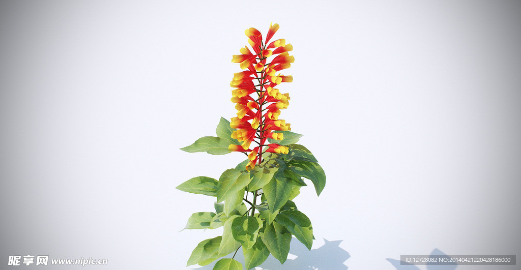 花模型