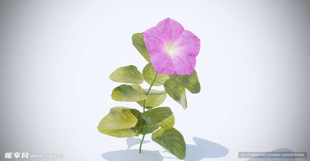 花模型