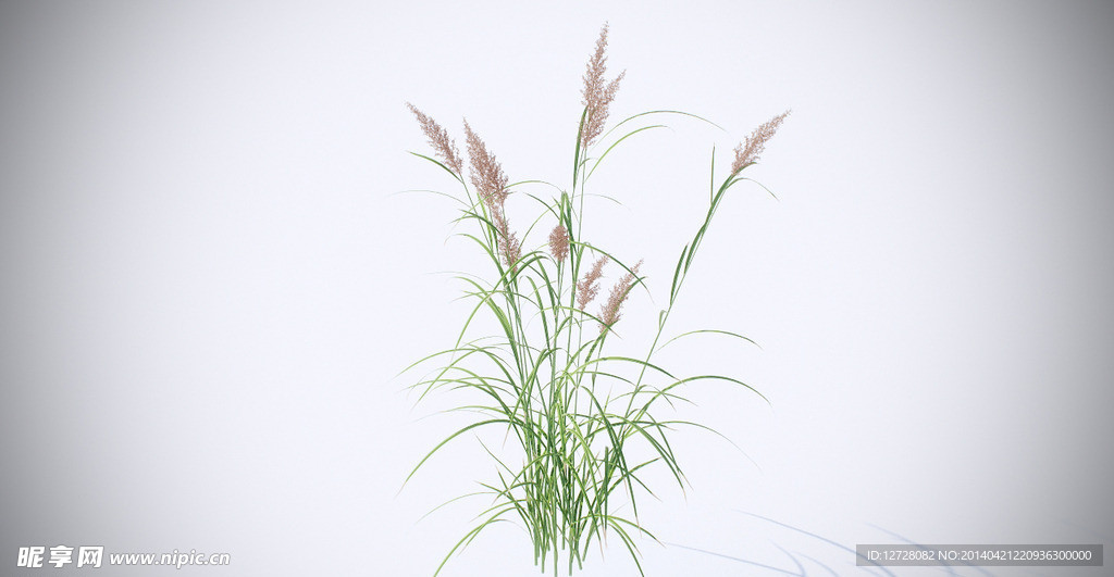 草模型