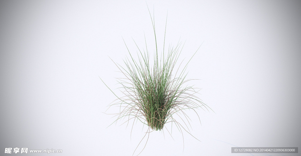 草模型