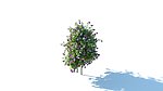 花篮 花模型