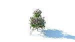 花篮 花模型