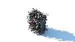花篮 花模型