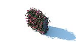 花篮 花模型