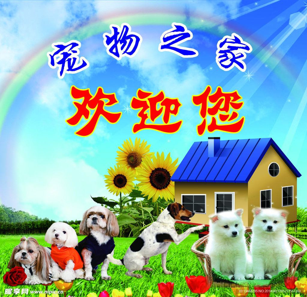 宠物之家 分层