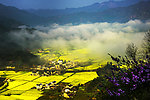 柯村风光