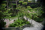 小区景观