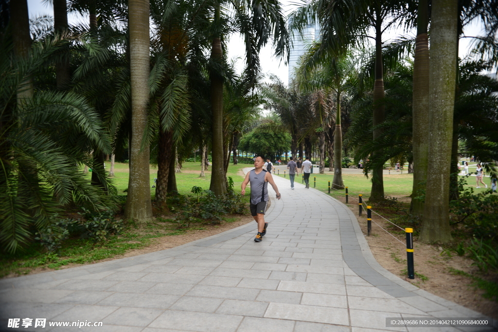 深圳莲花山公园