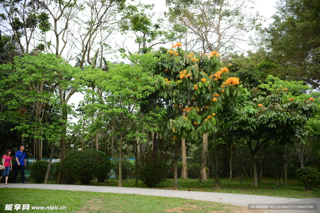 深圳莲花山公园