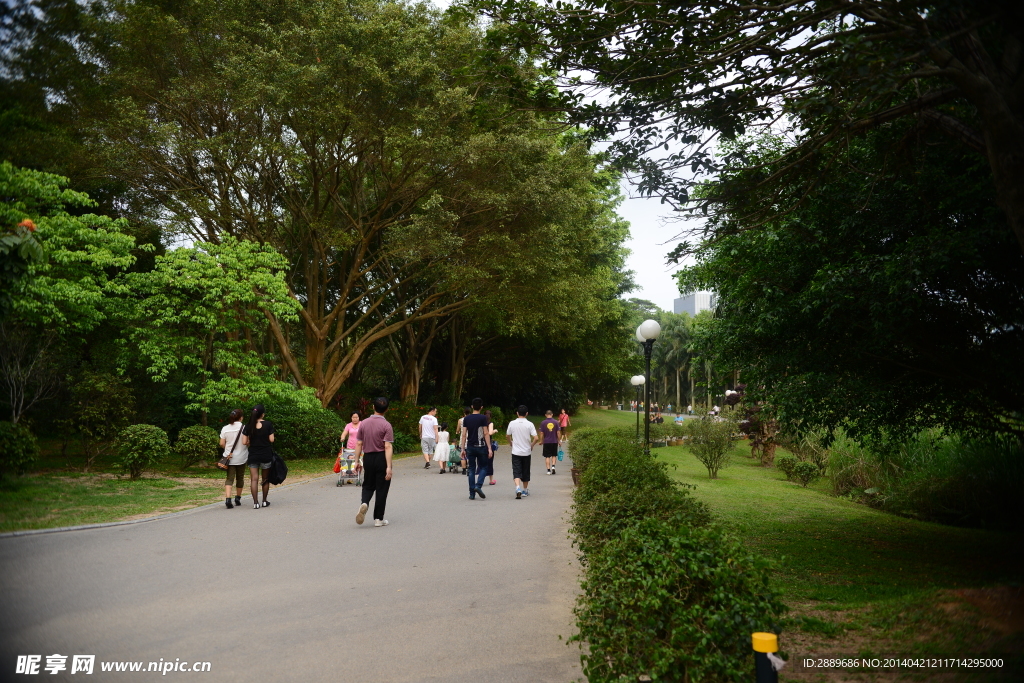 深圳莲花山公园