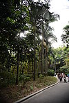 深圳莲花山