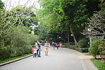 深圳莲花山