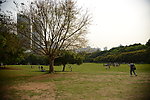 深圳莲花山