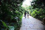 深圳莲花山