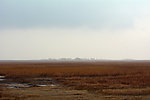旷野