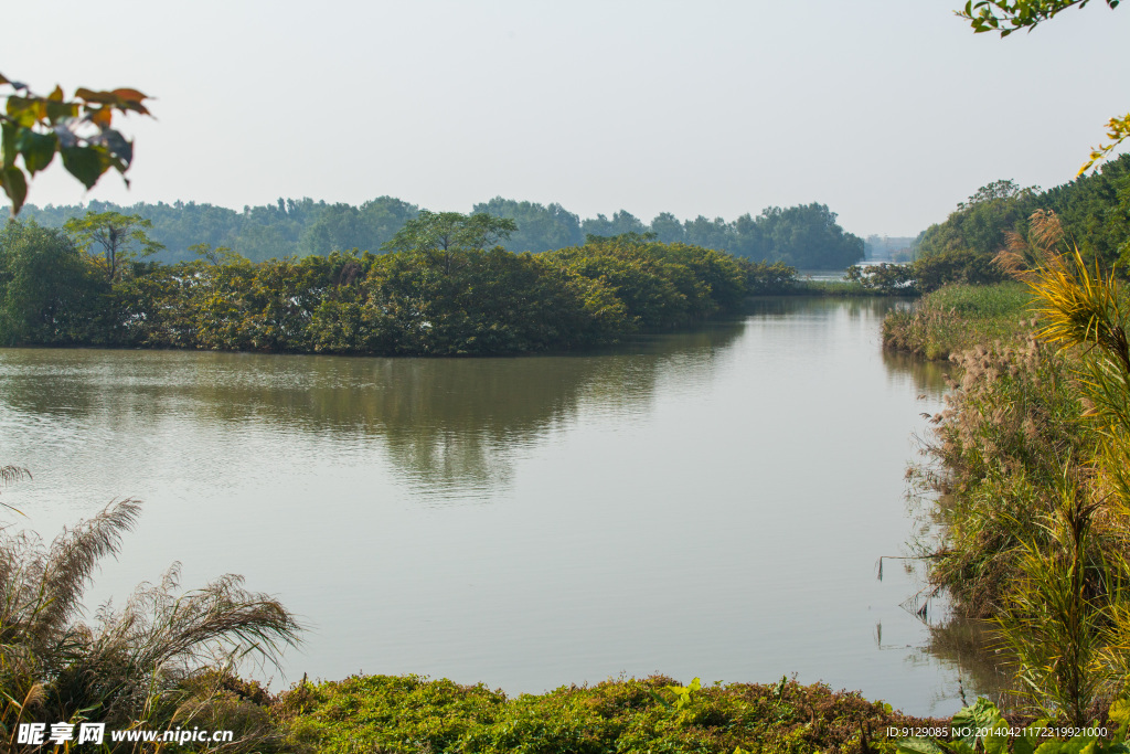 南沙湿地公园