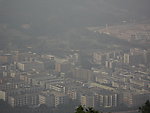 城市