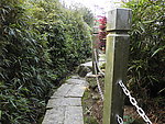 山路