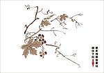 植物矢量