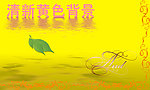黄色背景