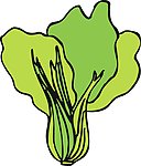 蔬菜