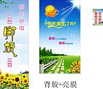 温馨微笑蓝天白云