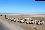 青海景观