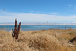 青海景观