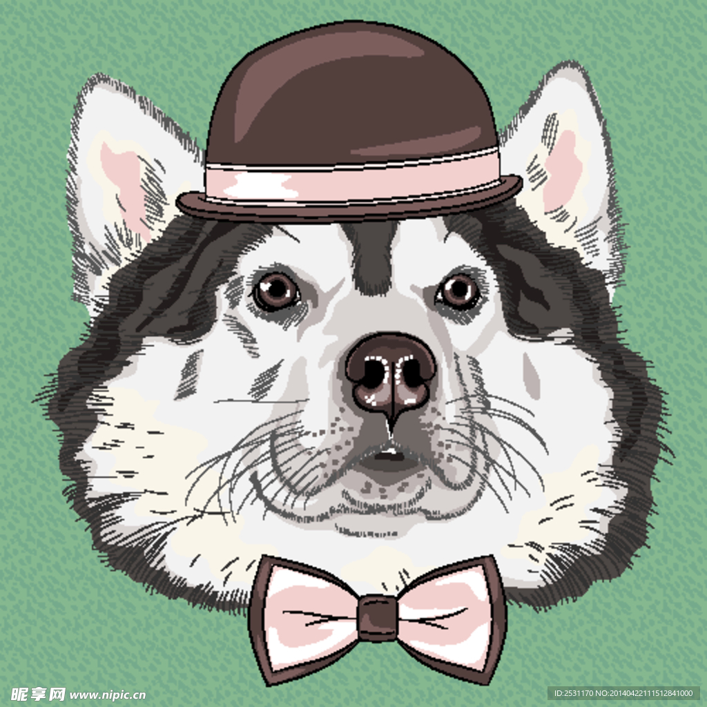 宠物狗