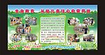 幼儿园展板