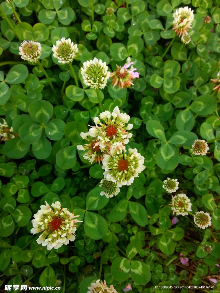 春暖花开