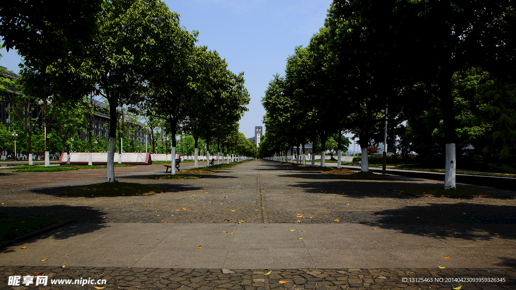 四川大学江安校区