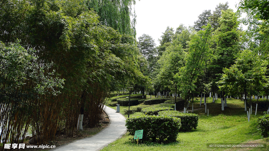 四川大学江安校区