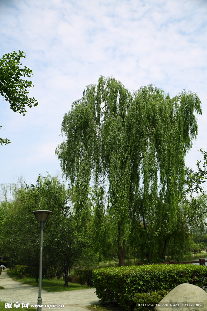 四川大学江安校区