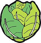 大白菜