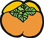 西红柿