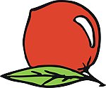 水蜜桃