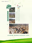 绿色健康
