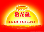 金龙鱼