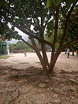 军训场地