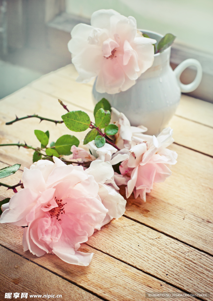 花朵鲜花