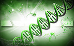 基因DNA