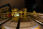 太古汇夜景